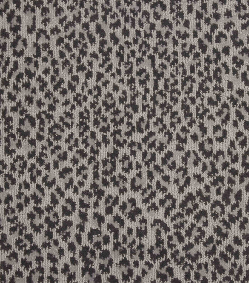 Atelier Enterprise Adventure Chrome