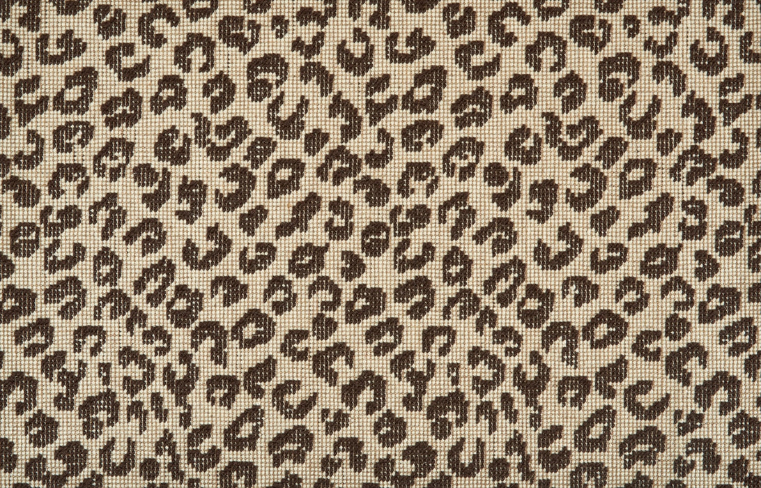 Crescent Leopard Birch