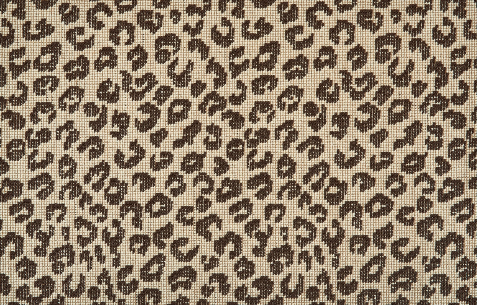 Crescent Leopard Birch