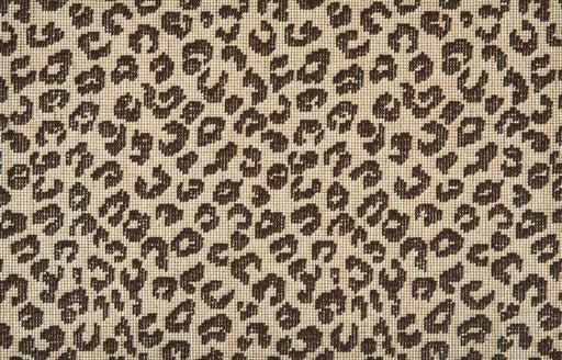 Crescent Leopard Birch