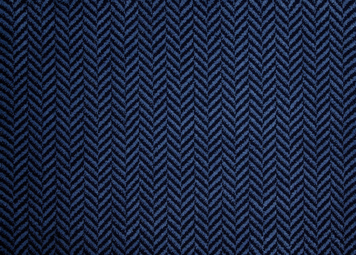 Enchanted Collection Phenomenon Royal Blue