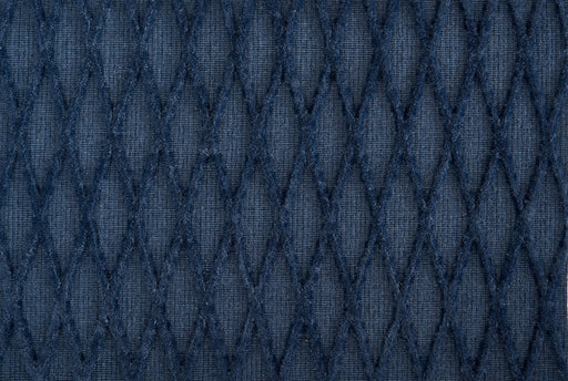 Metropolis Metropolis Vine Blue Macaw