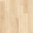 Natural Beauty Lux 9XL Bristol Point Vinyl Parchment 18509