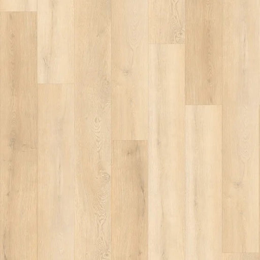 Natural Beauty Lux 9XL Bristol Point Vinyl Parchment 18509