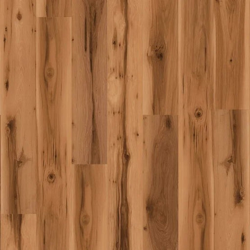 Natural Beauty Max 7 Enchanted Forest Vinyl Smoked Amber 53411