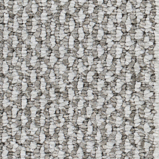 Starlight Elite Polypropylene Town Taupe Carpet Loop 1