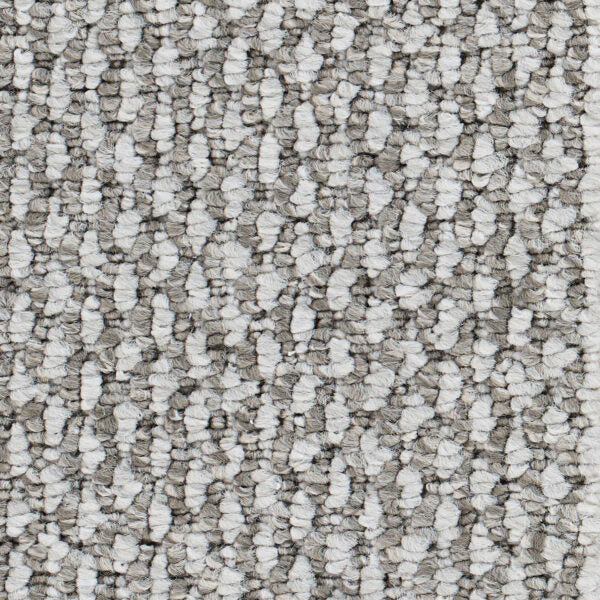 Starlight Elite Polypropylene Town Taupe Carpet Loop 1