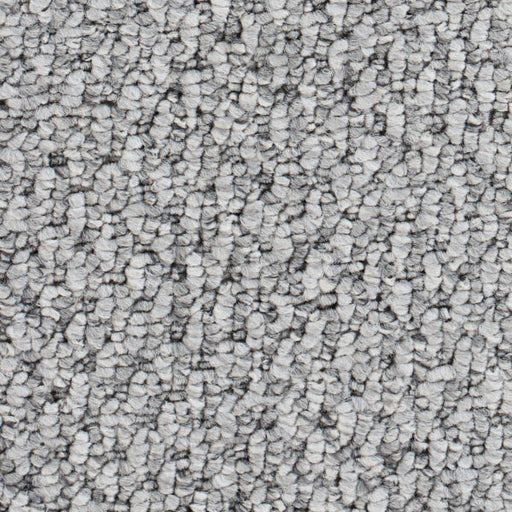 Starlight Elite Polypropylene Dove Grey Carpet Loop 1