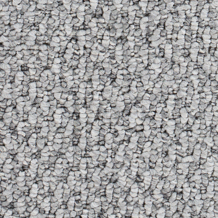 Starlight Elite Polypropylene Dove Grey Carpet Loop 2
