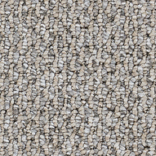 Starlight Elite Polypropylene Greige Carpet Loop 1
