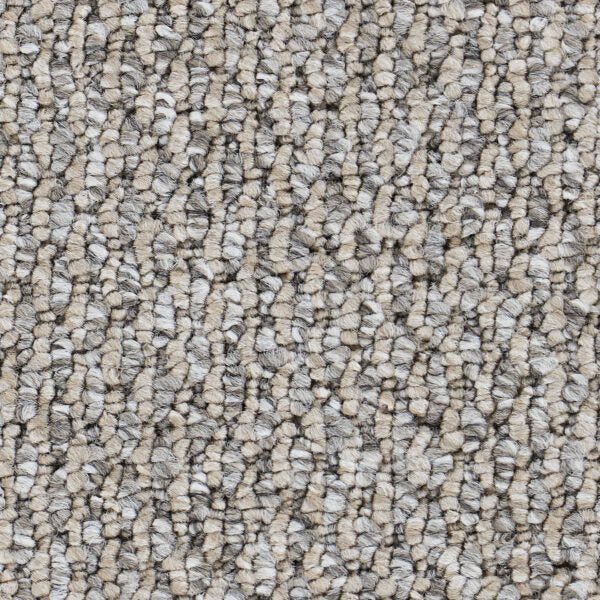 Starlight Elite Polypropylene Greige Carpet Loop 1