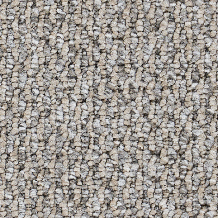 Starlight Elite Polypropylene Greige Carpet Loop 2
