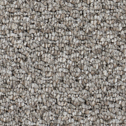 Starlight Elite Polypropylene Warm Stone Carpet Loop 1