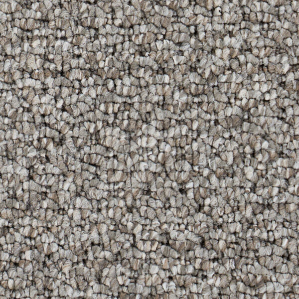 Starlight Elite Polypropylene Warm Stone Carpet Loop 1