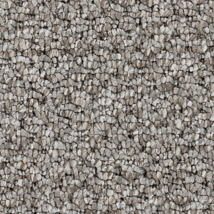 Starlight Elite Polypropylene Warm Stone Carpet Loop 2