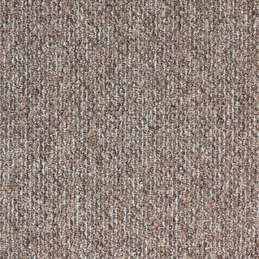 Starlight Elite Polypropylene Bravado Carpet Loop 1