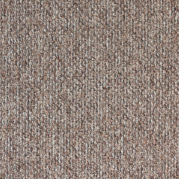 Starlight Elite Polypropylene Bravado Carpet Loop 1