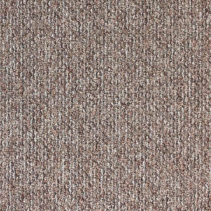 Starlight Elite Polypropylene Bravado Carpet Loop 2