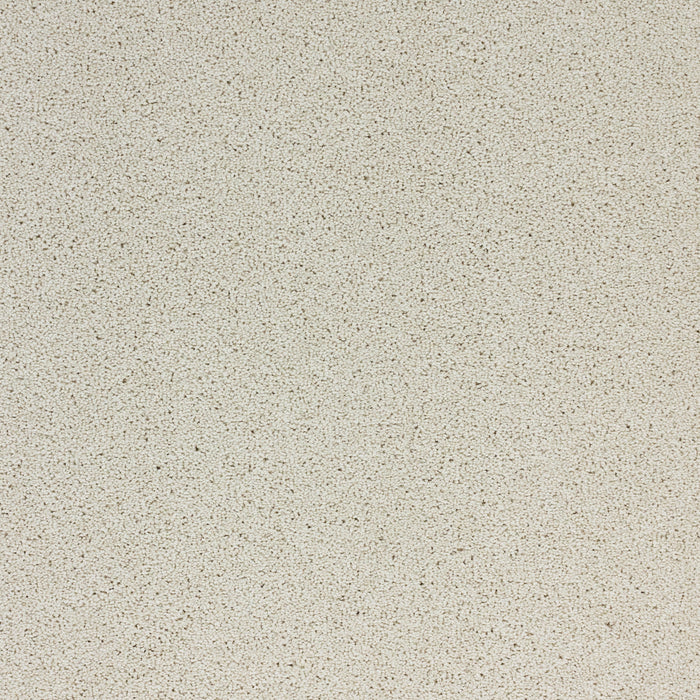 Stellar Polypropylene Lunar Ray Carpet Textured 2