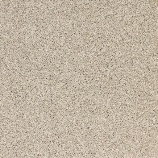 Stellar Polypropylene Orbit Carpet Textured 1