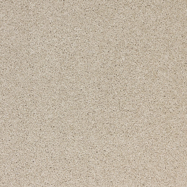 Stellar Polypropylene Orbit Carpet Textured 1