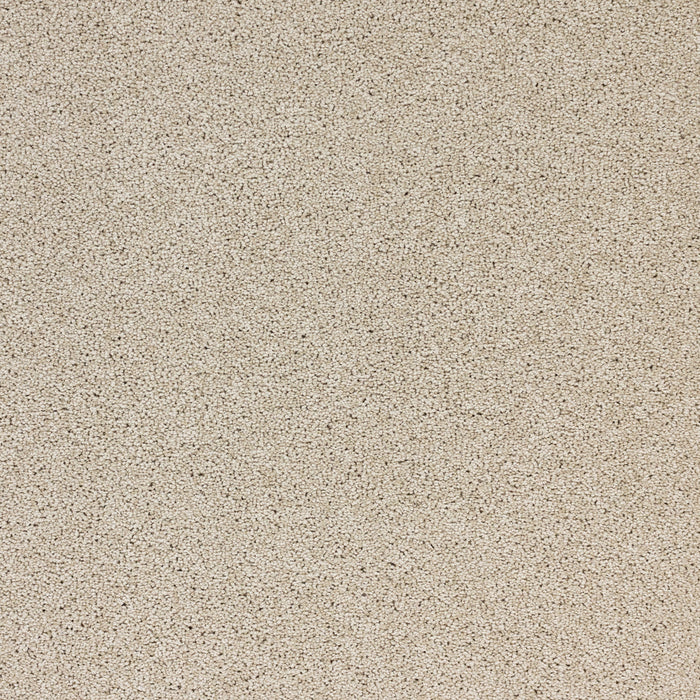 Stellar Polypropylene Orbit Carpet Textured 2