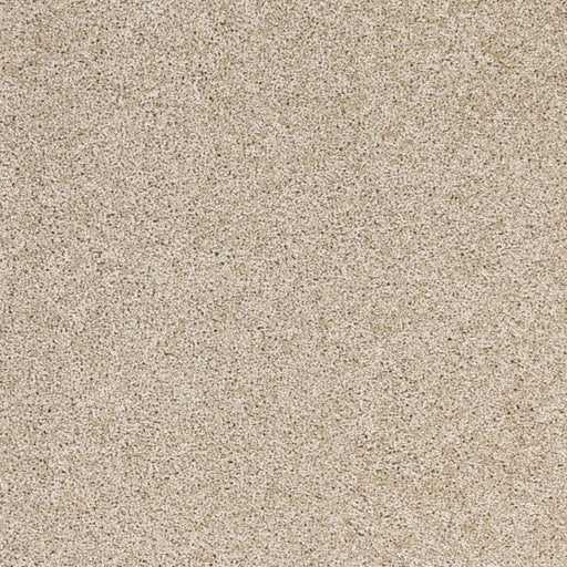 Stellar Polypropylene Energy Carpet Textured 1