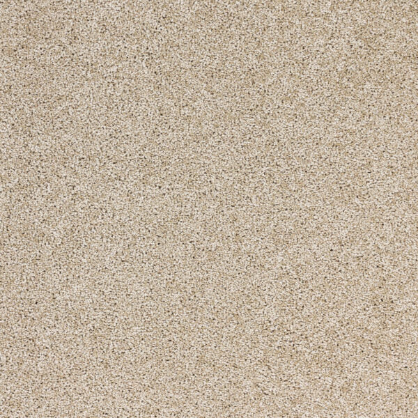 Stellar Polypropylene Energy Carpet Textured 1