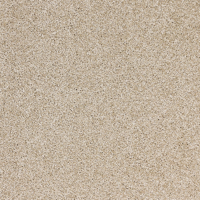 Stellar Polypropylene Energy Carpet Textured 2