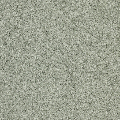 Stellar Polypropylene Nebula Carpet Textured 1