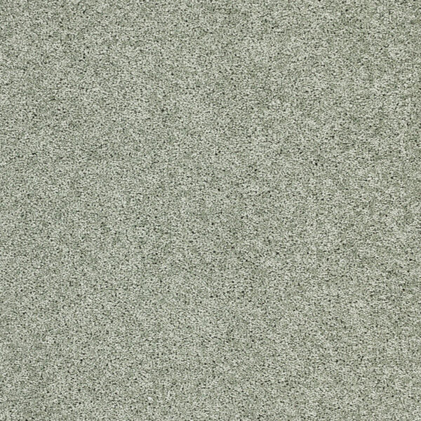 Stellar Polypropylene Nebula Carpet Textured 1