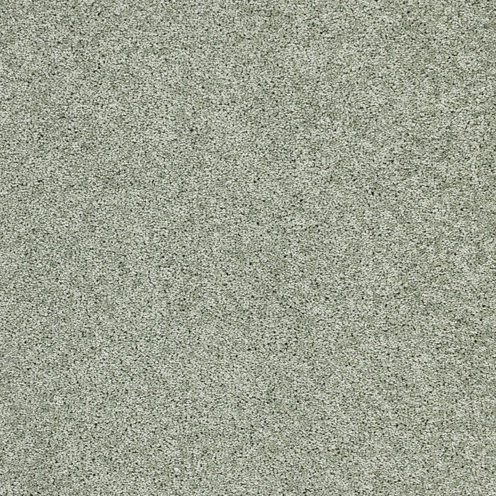 Stellar Polypropylene Nebula Carpet Textured 2