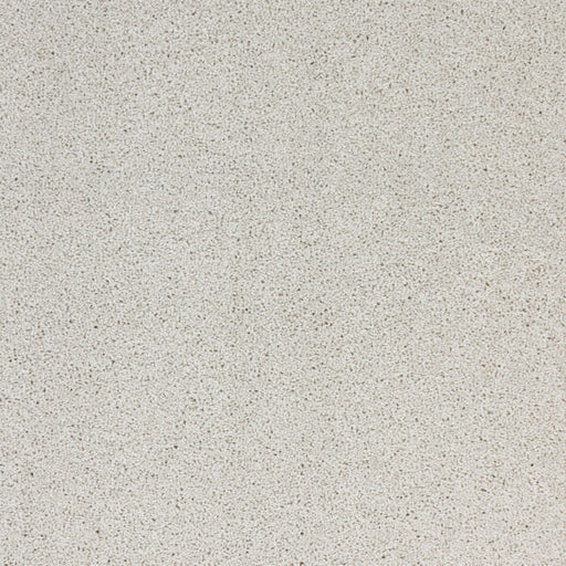 Stellar Polypropylene Skylight Carpet Textured 1
