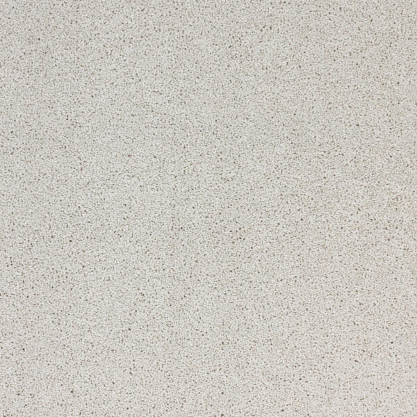 Stellar Polypropylene Skylight Carpet Textured 1