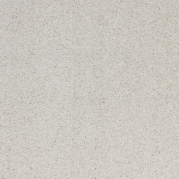 Stellar Polypropylene Skylight Carpet Textured 2