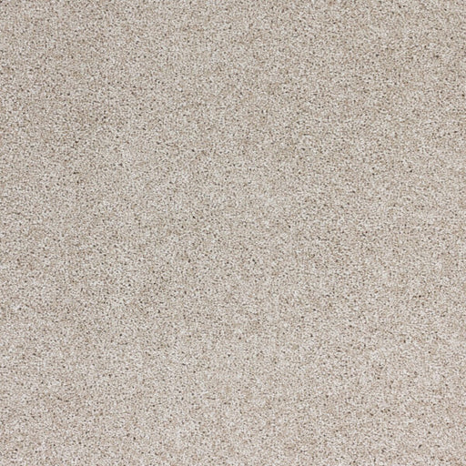Stellar Polypropylene Mineral Carpet Textured 1
