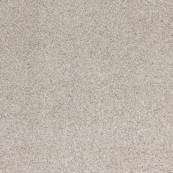Stellar Polypropylene Mineral Carpet Textured 1