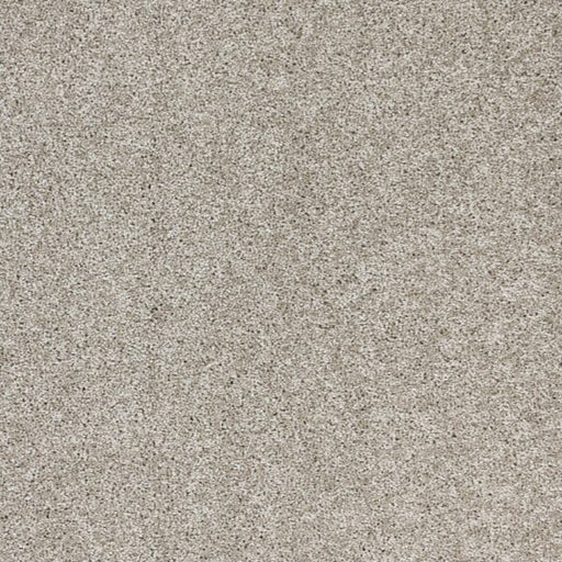 Stellar Polypropylene Moon Rock Carpet Textured 1