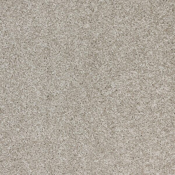 Stellar Polypropylene Moon Rock Carpet Textured 1