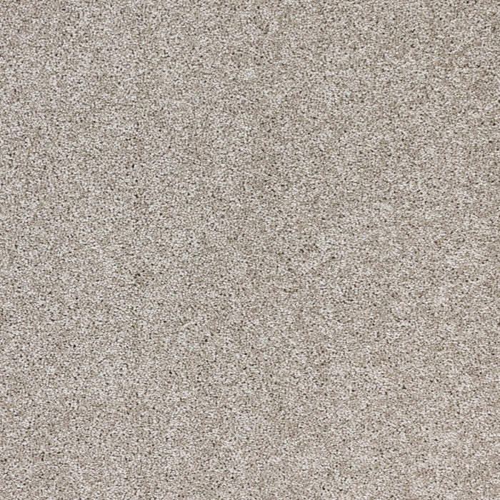 Stellar Polypropylene Moon Rock Carpet Textured 2