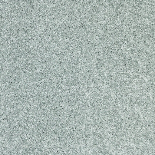 Stellar Polypropylene Zenith Carpet Textured 1
