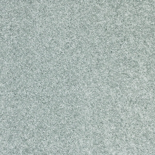Stellar Polypropylene Zenith Carpet Textured 1