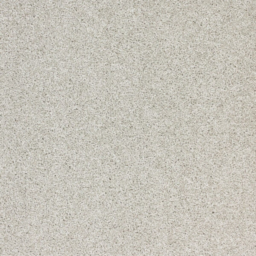 Stellar Polypropylene Star Power Carpet Textured 1
