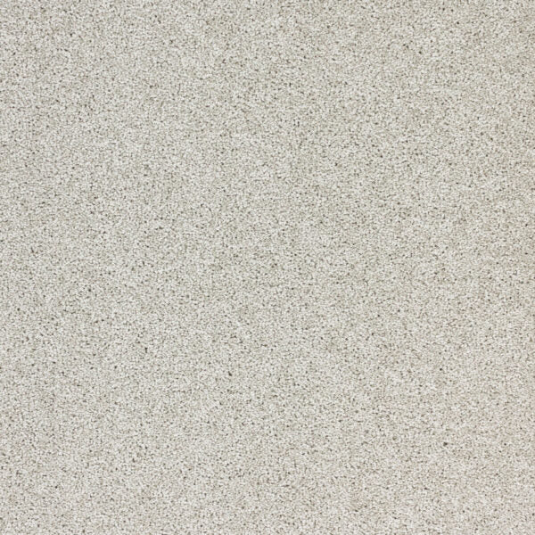 Stellar Polypropylene Star Power Carpet Textured 1