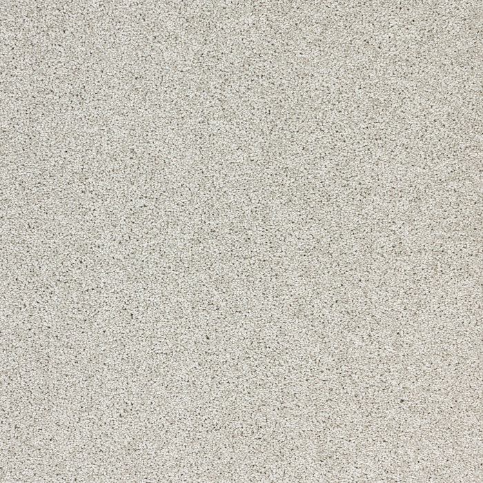 Stellar Polypropylene Star Power Carpet Textured 2