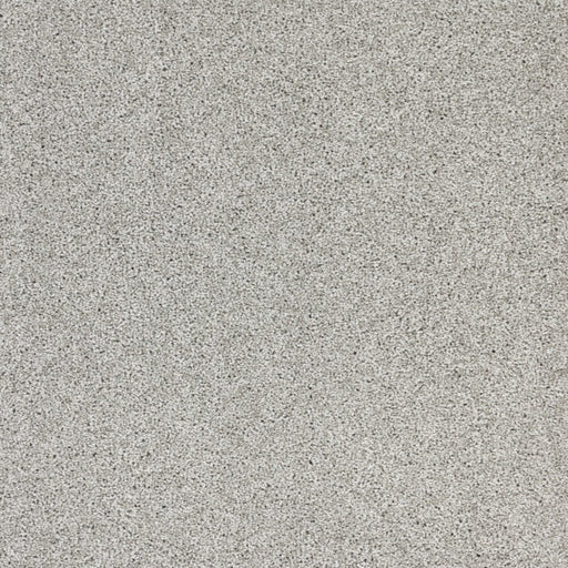 Stellar Polypropylene Astronomy Carpet Textured 1