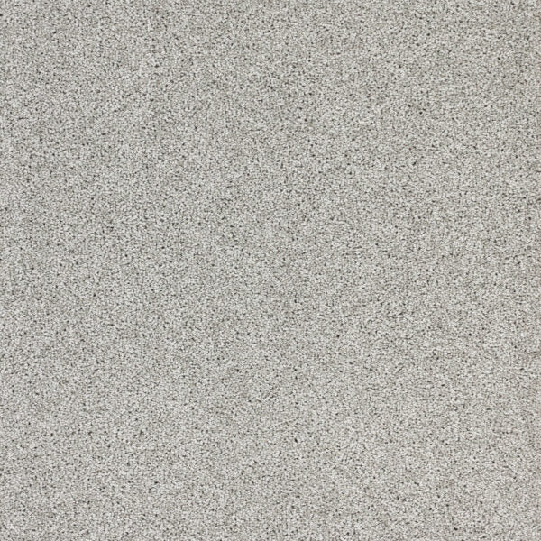 Stellar Polypropylene Astronomy Carpet Textured 1