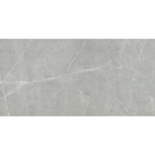 Sterlina II Gray Porcelain Tile - Matte