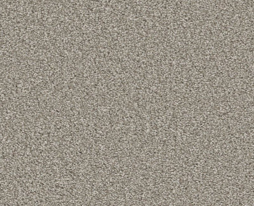 Trusolutions III Stone Path Polyester Carpet - Textured
