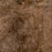 Full Tile Sample - Stonefire Rust Porcelain Tile - 12" x 24" x 8 MM Matte